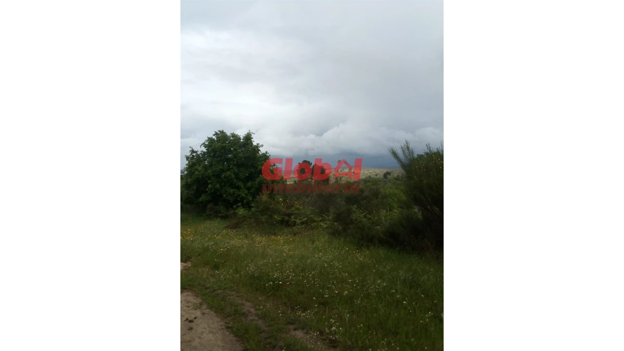 Terreno Agricola ou Rústico para Venda em Vila Franca da Serra Foto 2