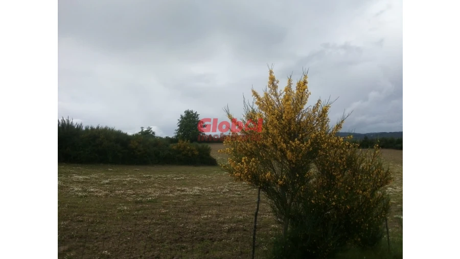 Terreno Agricola ou Rústico para Venda em Vila Franca da Serra