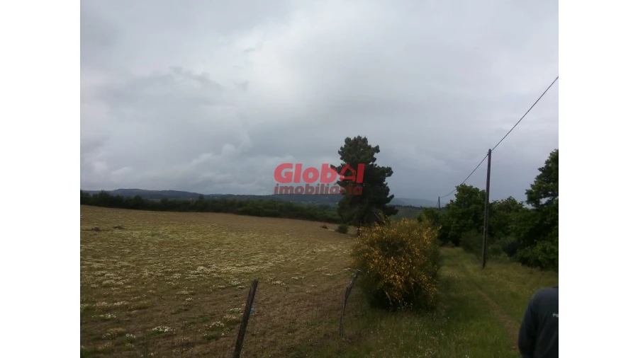 Terreno Agricola ou Rústico para Venda em Vila Franca da Serra Foto 5