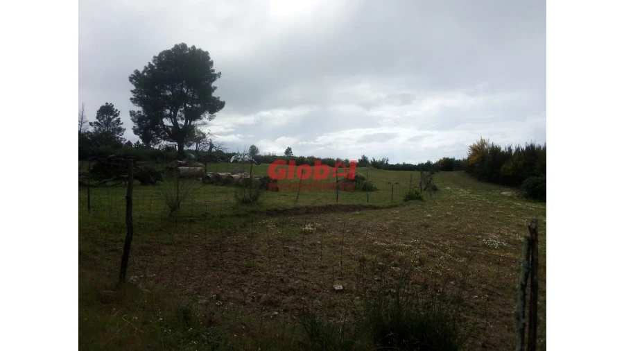 Terreno Agricola ou Rústico para Venda em Vila Franca da Serra Foto 4