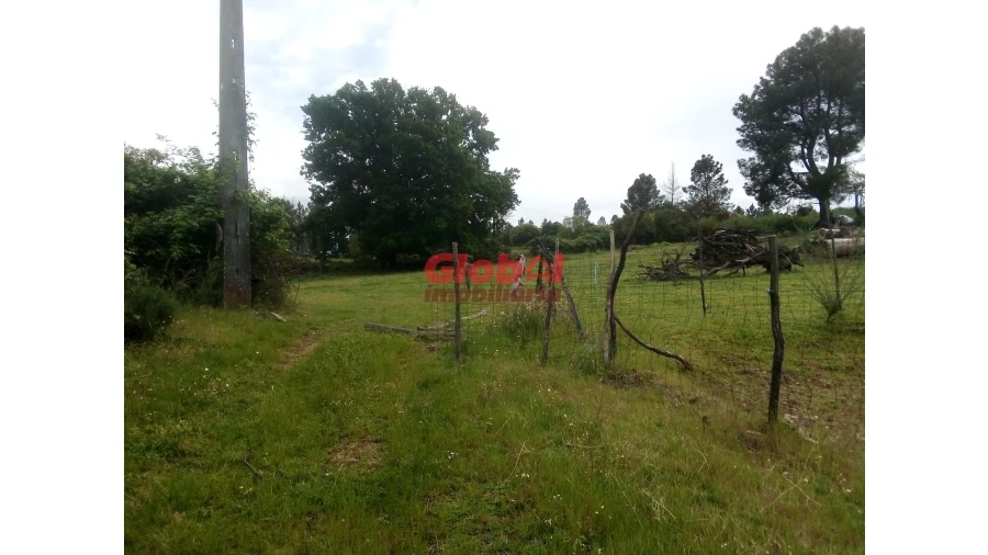 Terreno Agricola ou Rústico para Venda em Vila Franca da Serra Foto 3