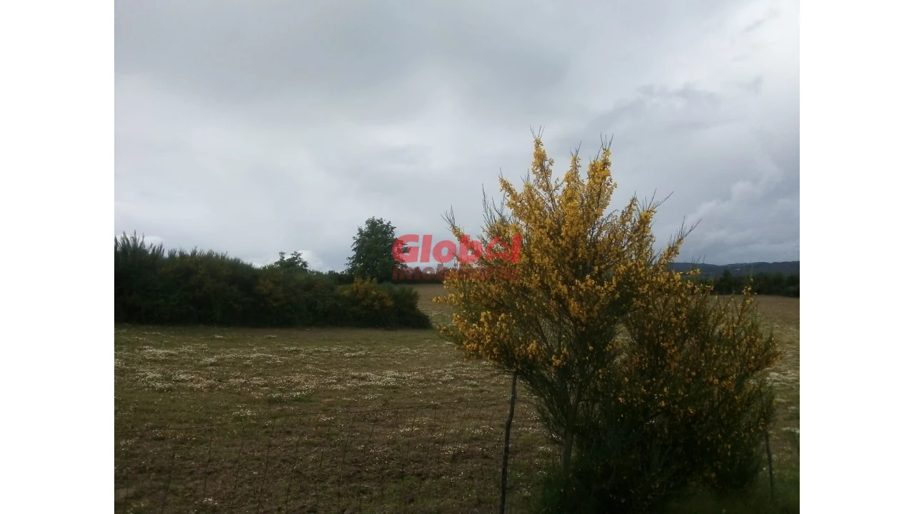 Terreno Agricola ou Rústico para Venda em Vila Franca da Serra Foto 1