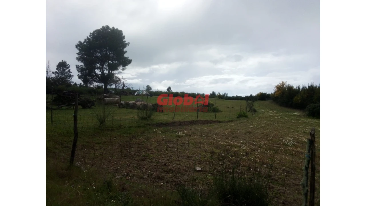 Terreno Agricola ou Rústico para Venda em Vila Franca da Serra Foto 4