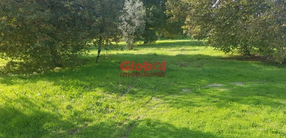 Terreno para Venda em Rio de Loba