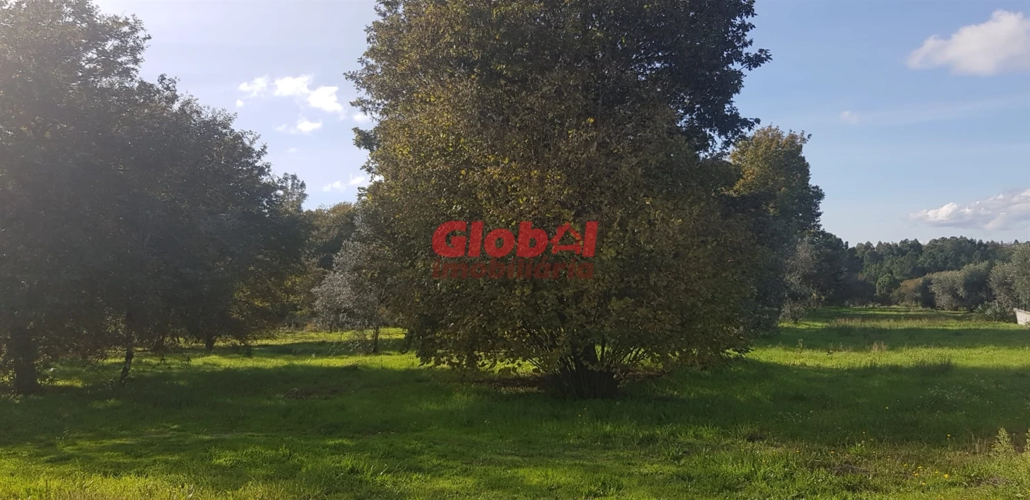 Terreno para Venda em Rio de Loba Foto 2
