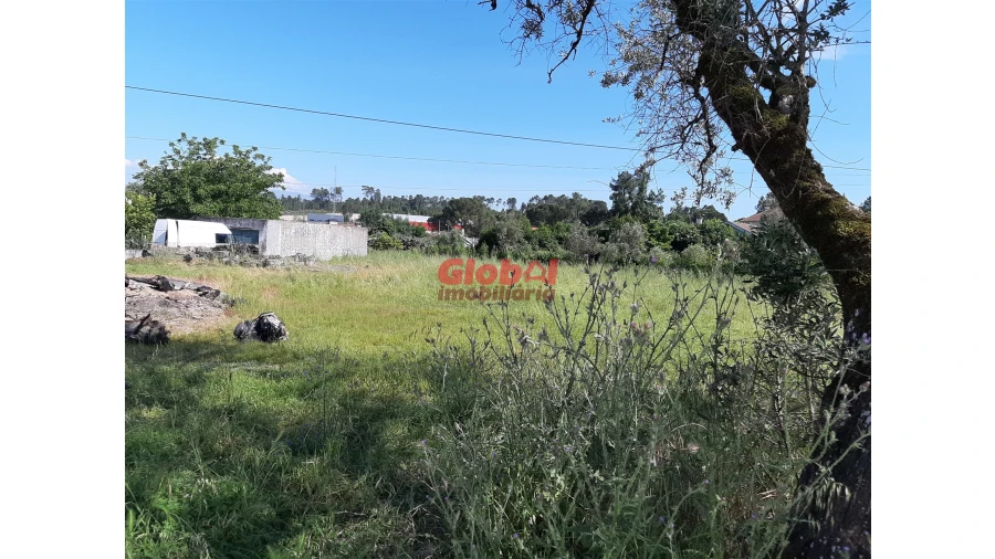 Terreno para Venda em Santar e Moreira Foto 2