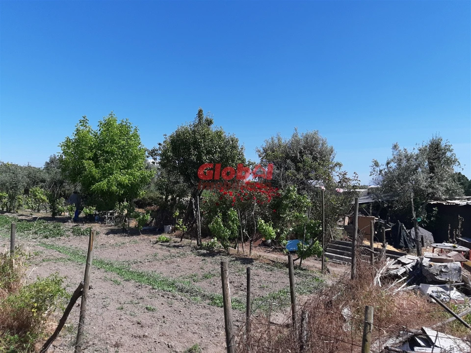 Terreno para Venda em Santar e Moreira Foto 2