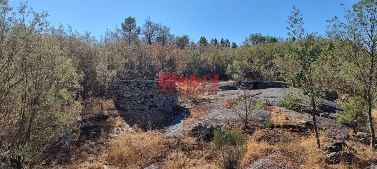 Quinta T0 para Venda em Abrunhosa-A-Velha Foto 3