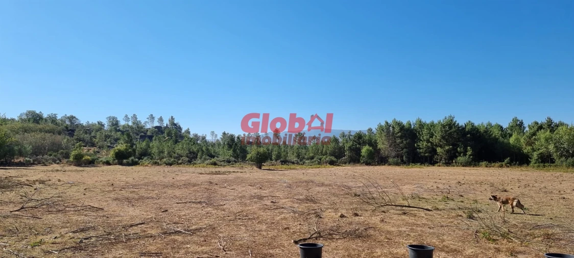 Quinta T0 para Venda em Abrunhosa-A-Velha Foto 1