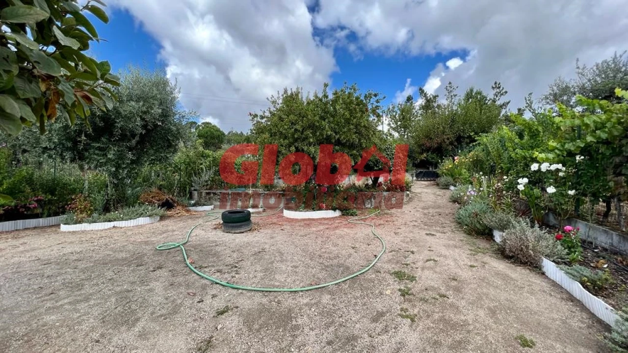 Terreno para Venda em Faíl e Vila Chã de Sá Foto 1
