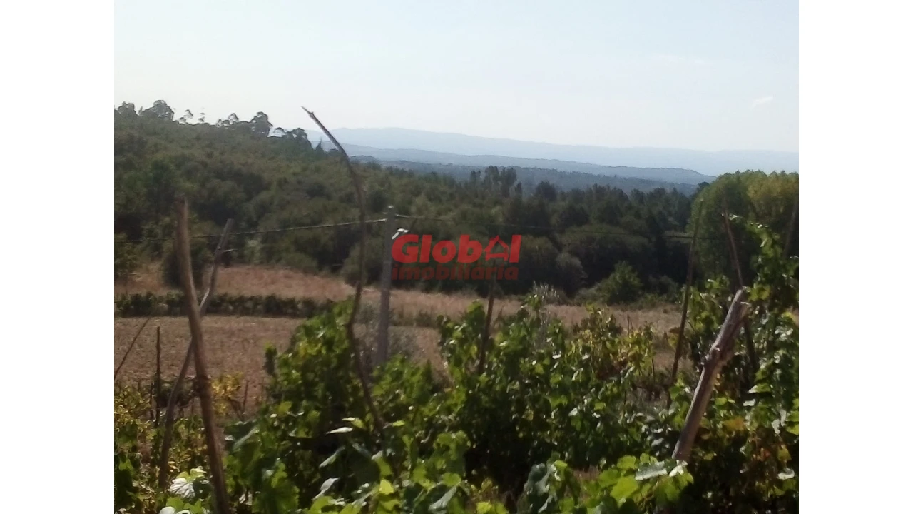 Quinta T0 para Venda em São Pedro de France Foto 2