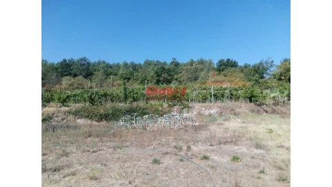 Quinta T0 para Venda em São Pedro de France