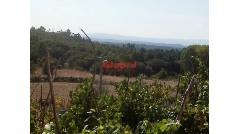 Quinta T0 para Venda em São Pedro de France