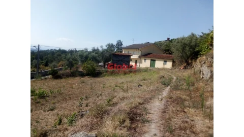 Quinta T0 para Venda em São Pedro de France