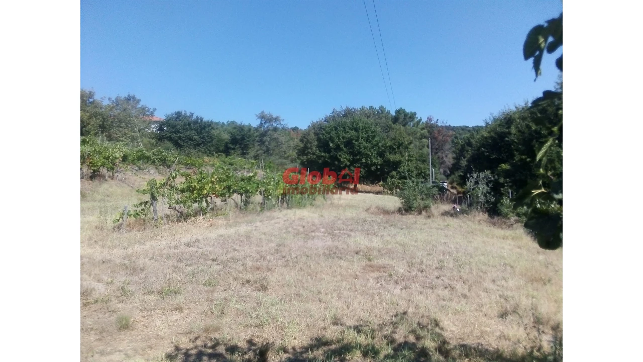 Quinta T0 para Venda em São Pedro de France Foto 4