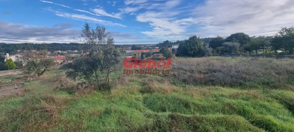 Terreno para Venda em São João de Lourosa