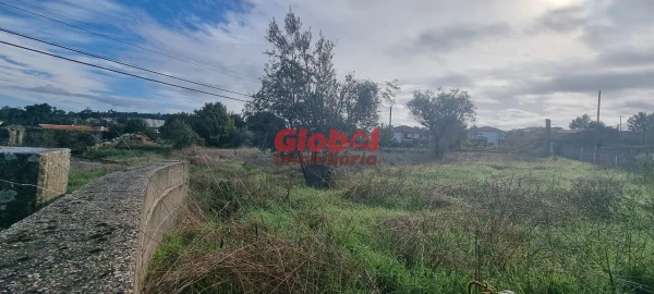 Terreno para Venda em São João de Lourosa