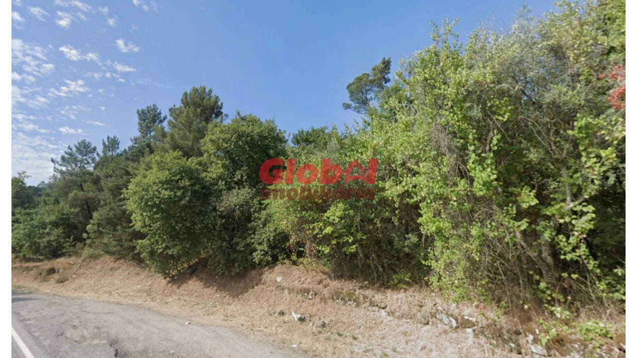 Terreno para Venda em São João de Lourosa Foto 1