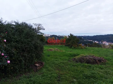 Terreno para Venda em Repeses e São Salvador
