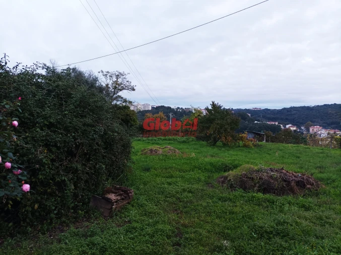 Terreno para Venda em Repeses e São Salvador Foto 2