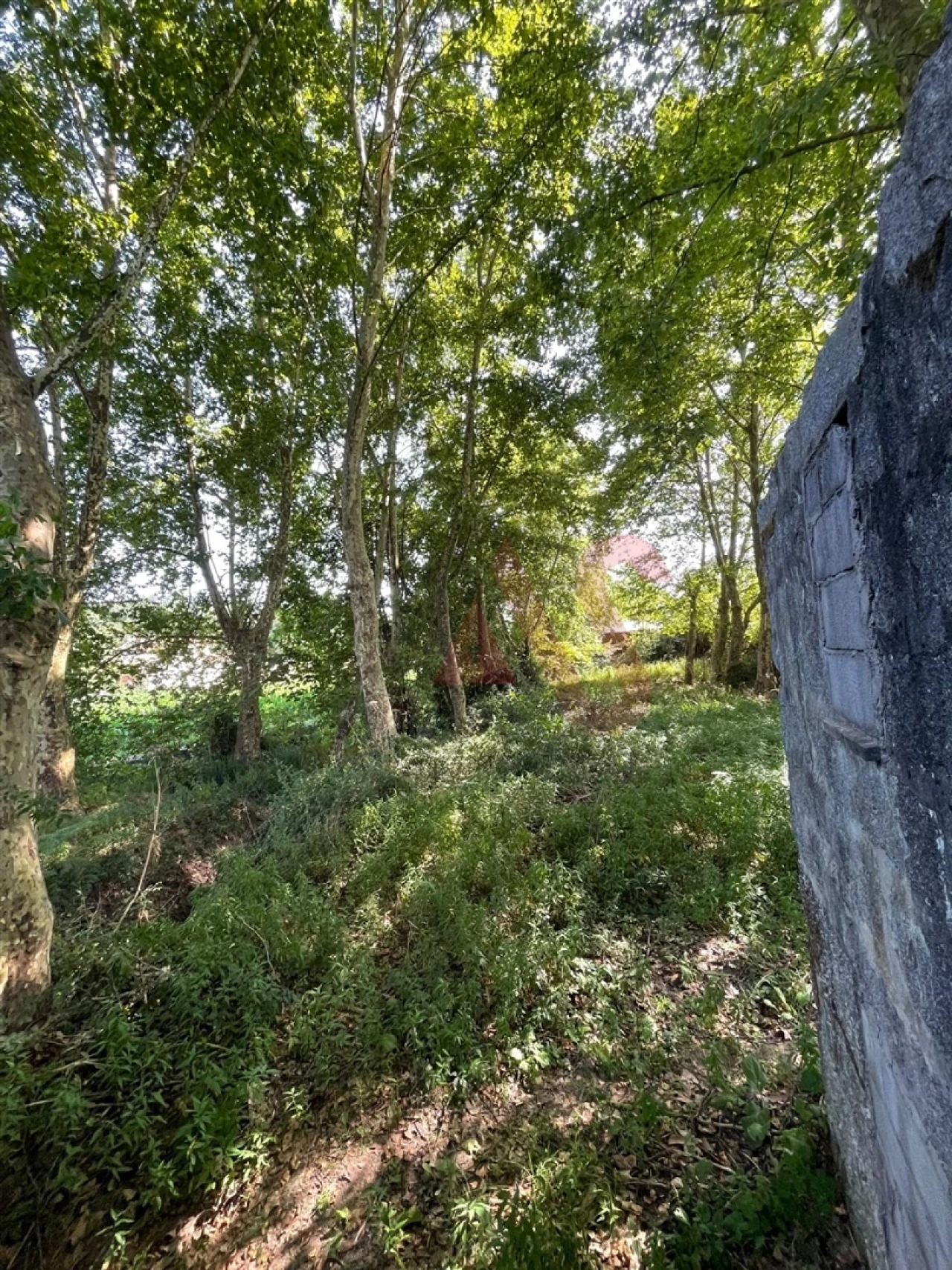 Moradia T3 para Venda em Cernadelo e Lousada (São Miguel e Santa Margarida) Foto 10