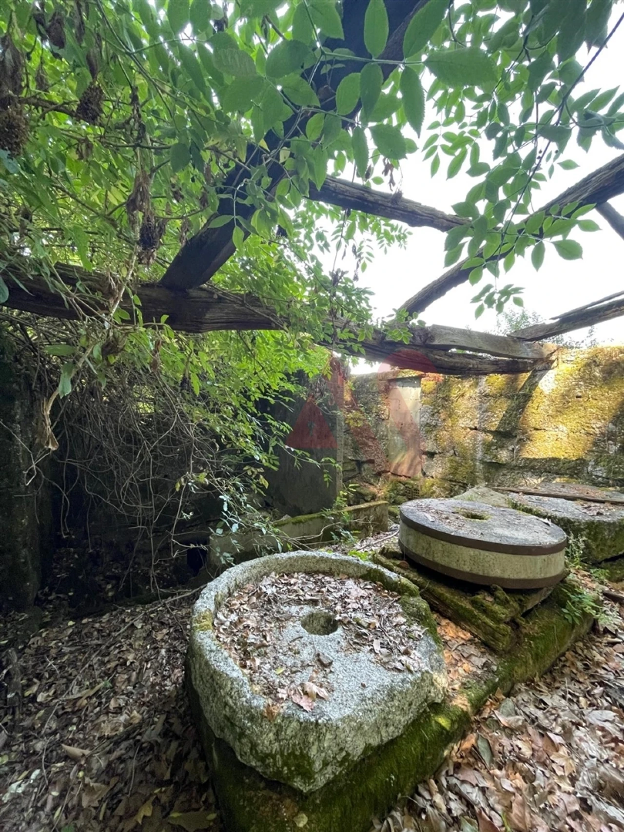 Moradia T3 para Venda em Cernadelo e Lousada (São Miguel e Santa Margarida) Foto 6