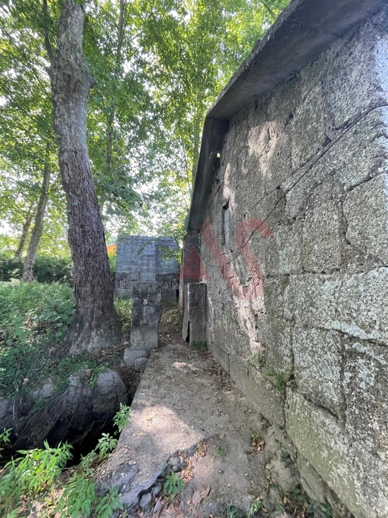 Moradia T3 para Venda em Cernadelo e Lousada (São Miguel e Santa Margarida) Foto 4