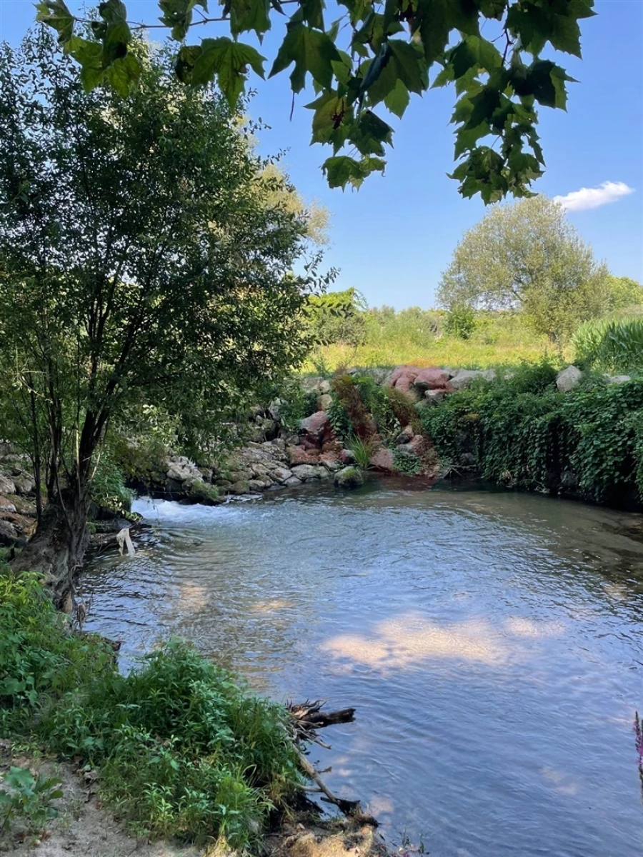 Moradia T3 para Venda em Cernadelo e Lousada (São Miguel e Santa Margarida) Foto 13