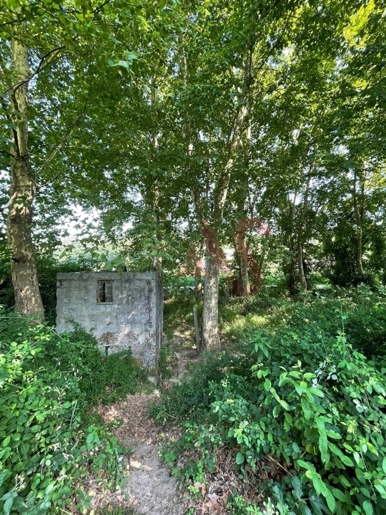 Moradia T3 para Venda em Cernadelo e Lousada (São Miguel e Santa Margarida) Foto 12