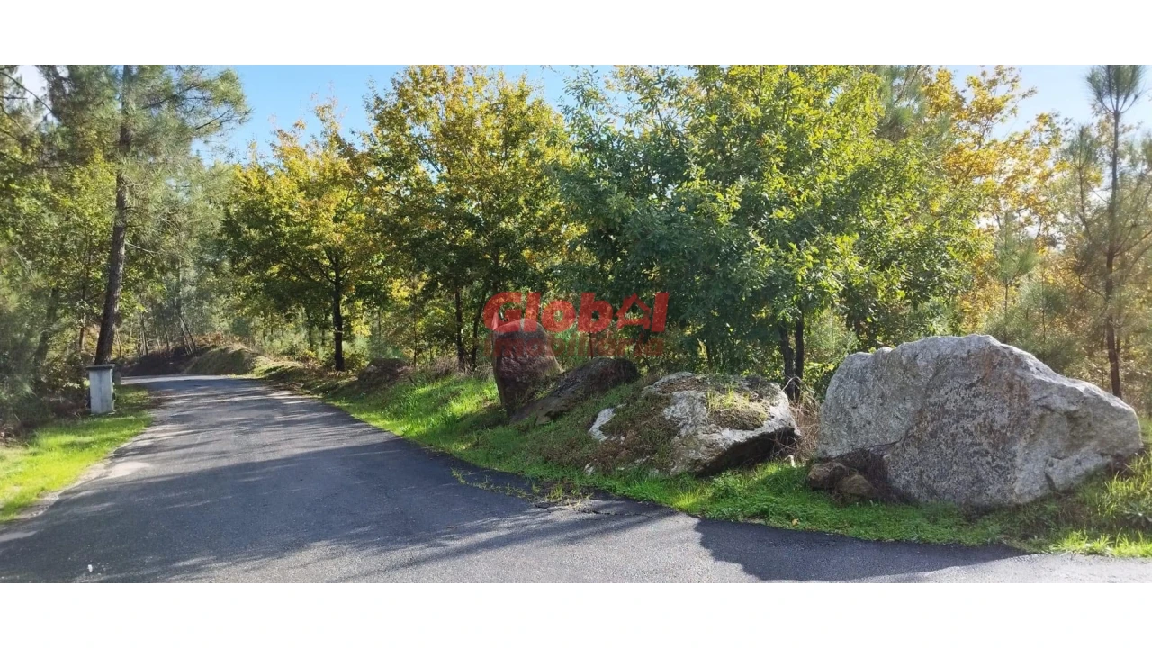 Terreno para Venda em Faíl e Vila Chã de Sá Foto 1