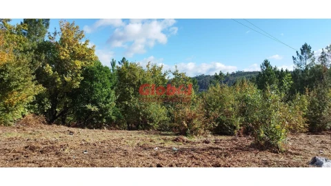 Terreno para Venda em Faíl e Vila Chã de Sá