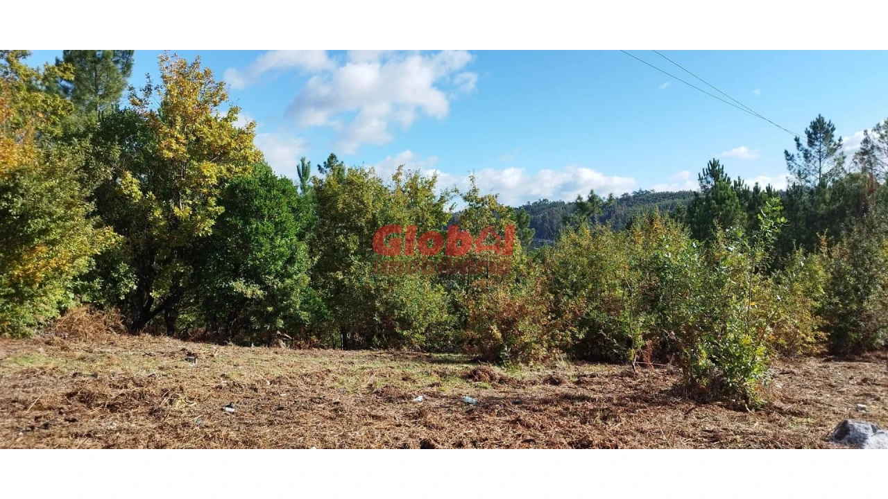 Terreno para Venda em Faíl e Vila Chã de Sá Foto 2
