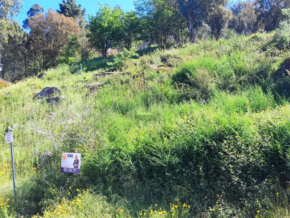Terreno para Venda em Vilela Foto 6