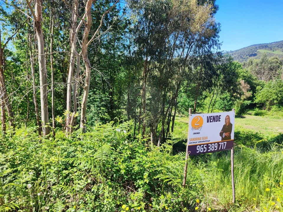 Terreno para Venda em Vilela Foto 5