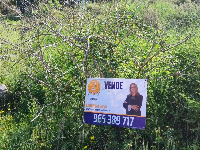 Terreno para Venda em Vilela Foto 10