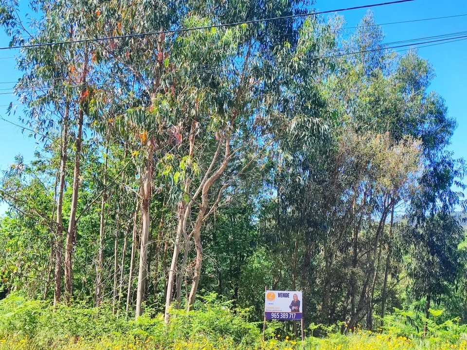 Terreno para Venda em Vilela Foto 9