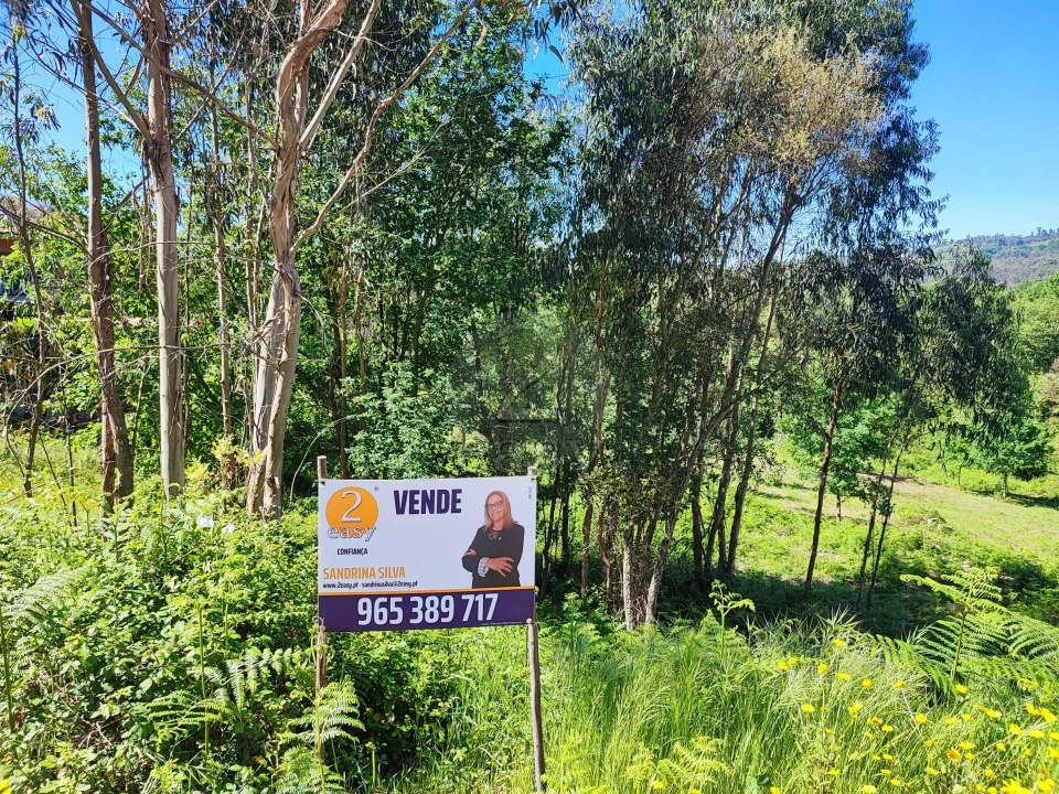 Terreno para Venda em Vilela Foto 4