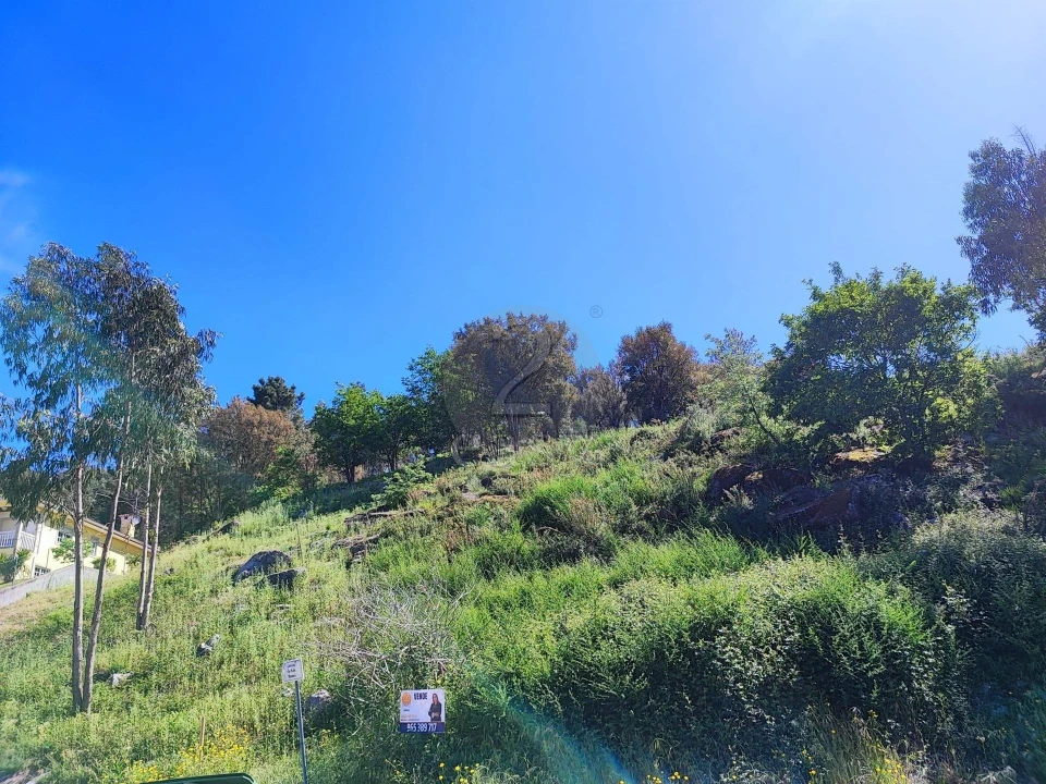 Terreno para Venda em Vilela Foto 2