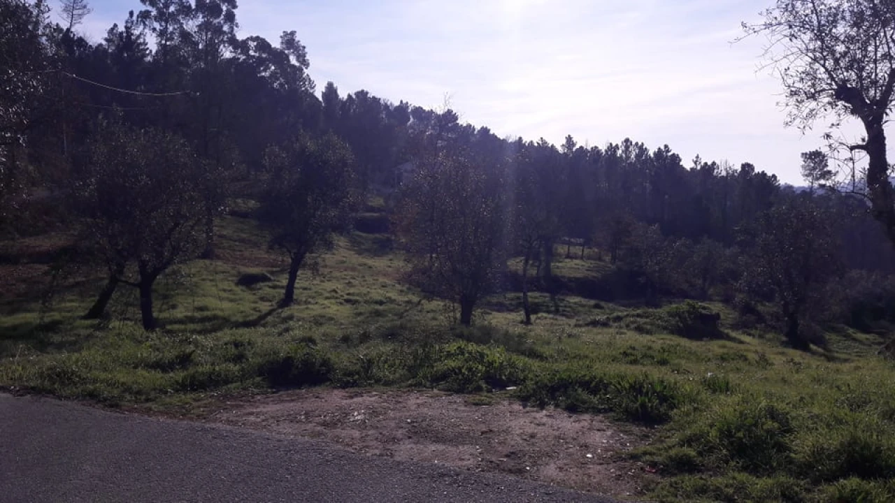 Terreno para Venda em Orgens Foto 4