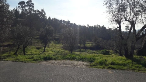 Terreno para Venda em Orgens