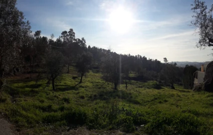 Terreno para Venda em Orgens