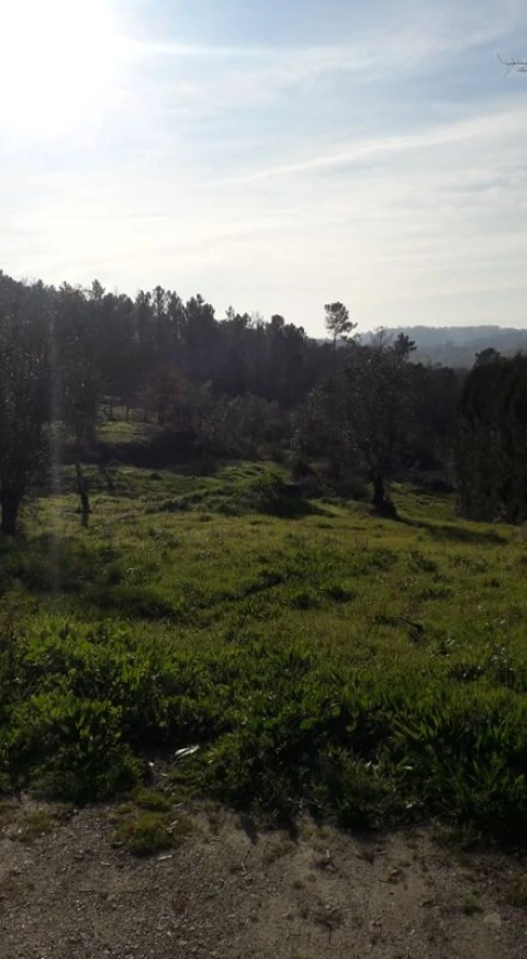 Terreno para Venda em Orgens