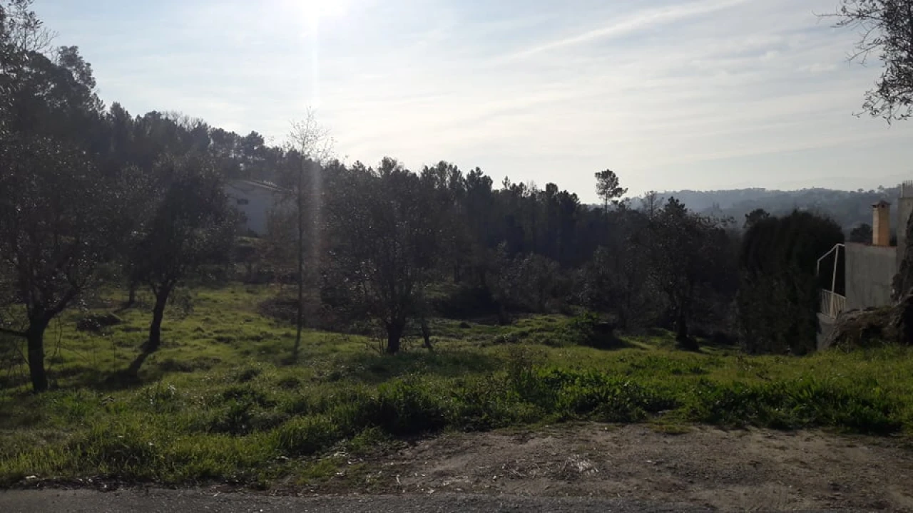 Terreno para Venda em Orgens Foto 3