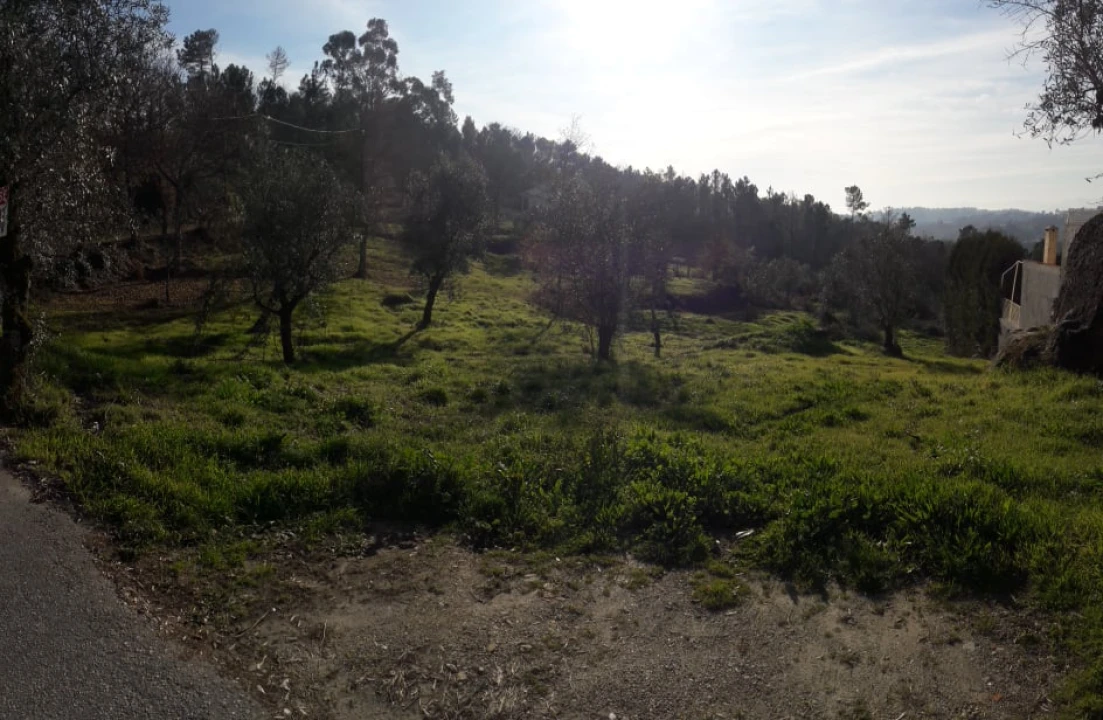 Terreno para Venda em Orgens Foto 7