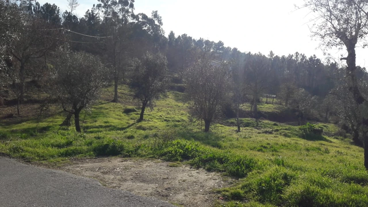 Terreno para Venda em Orgens Foto 5