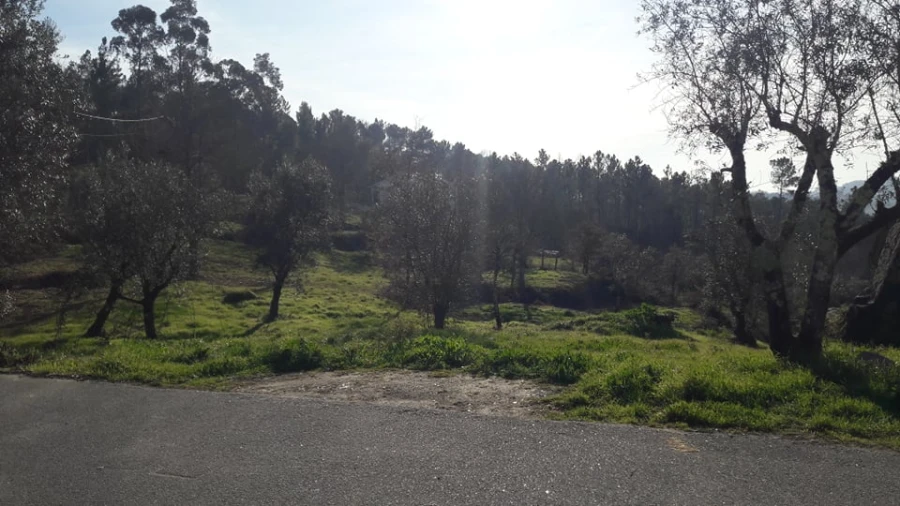 Terreno para Venda em Orgens Foto 8