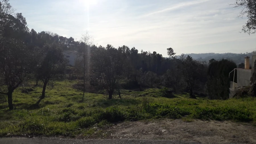 Terreno para Venda em Orgens Foto 3