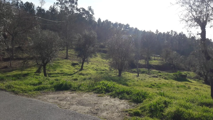 Terreno para Venda em Orgens Foto 5