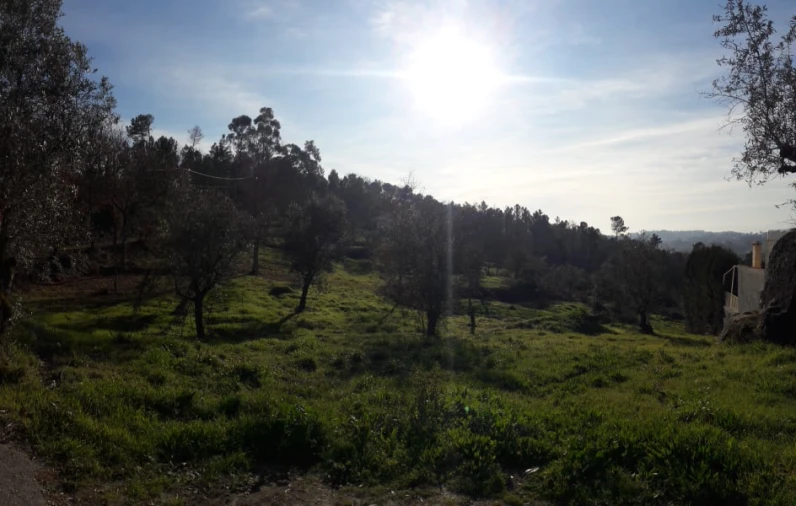 Terreno para Venda em Orgens Foto 10