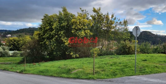 Terreno para Venda em Bodiosa